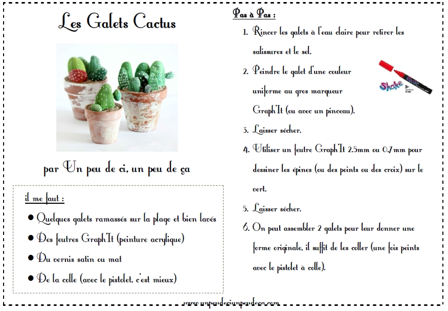 tutoriel galets cactus